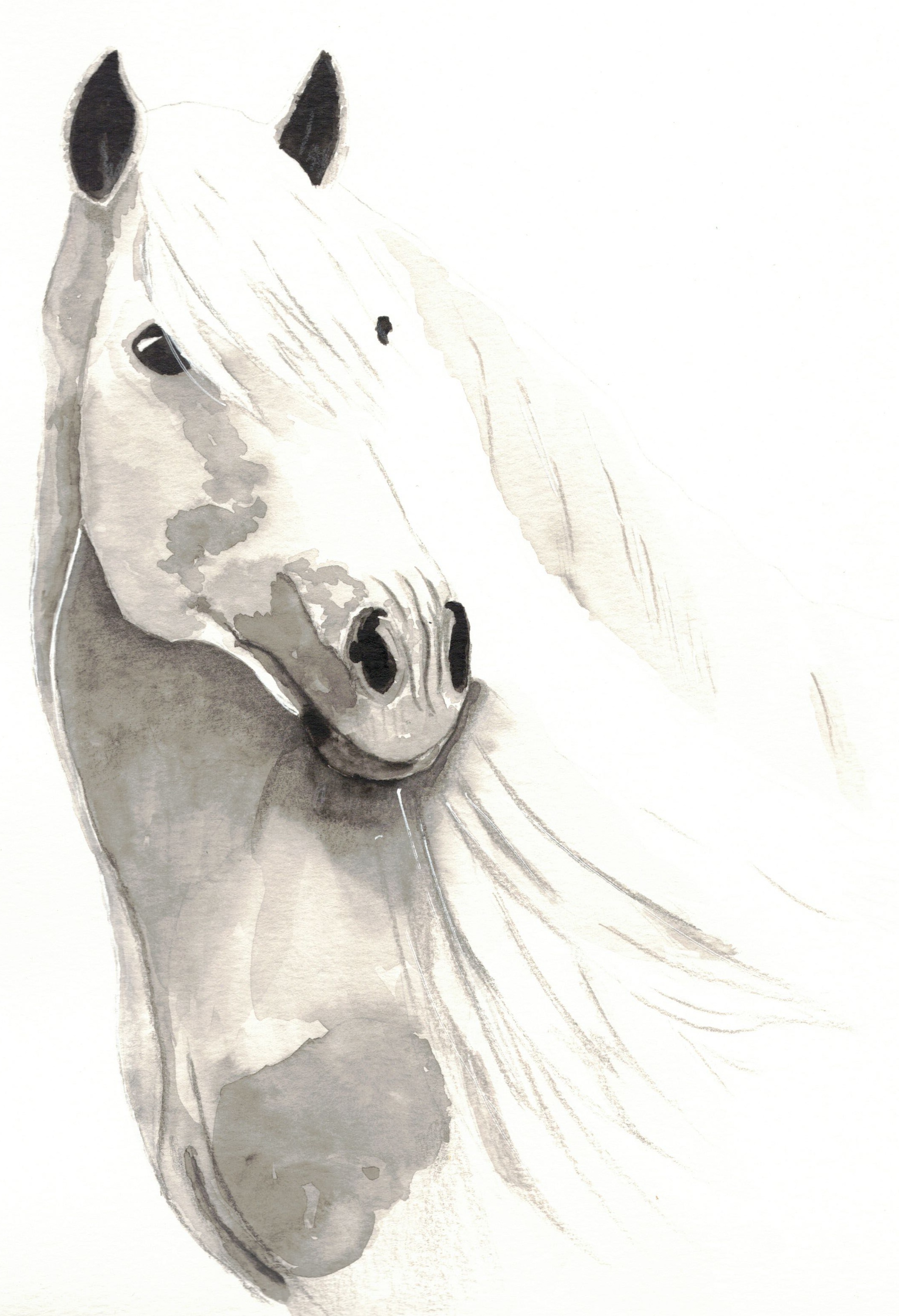 Illustration 1