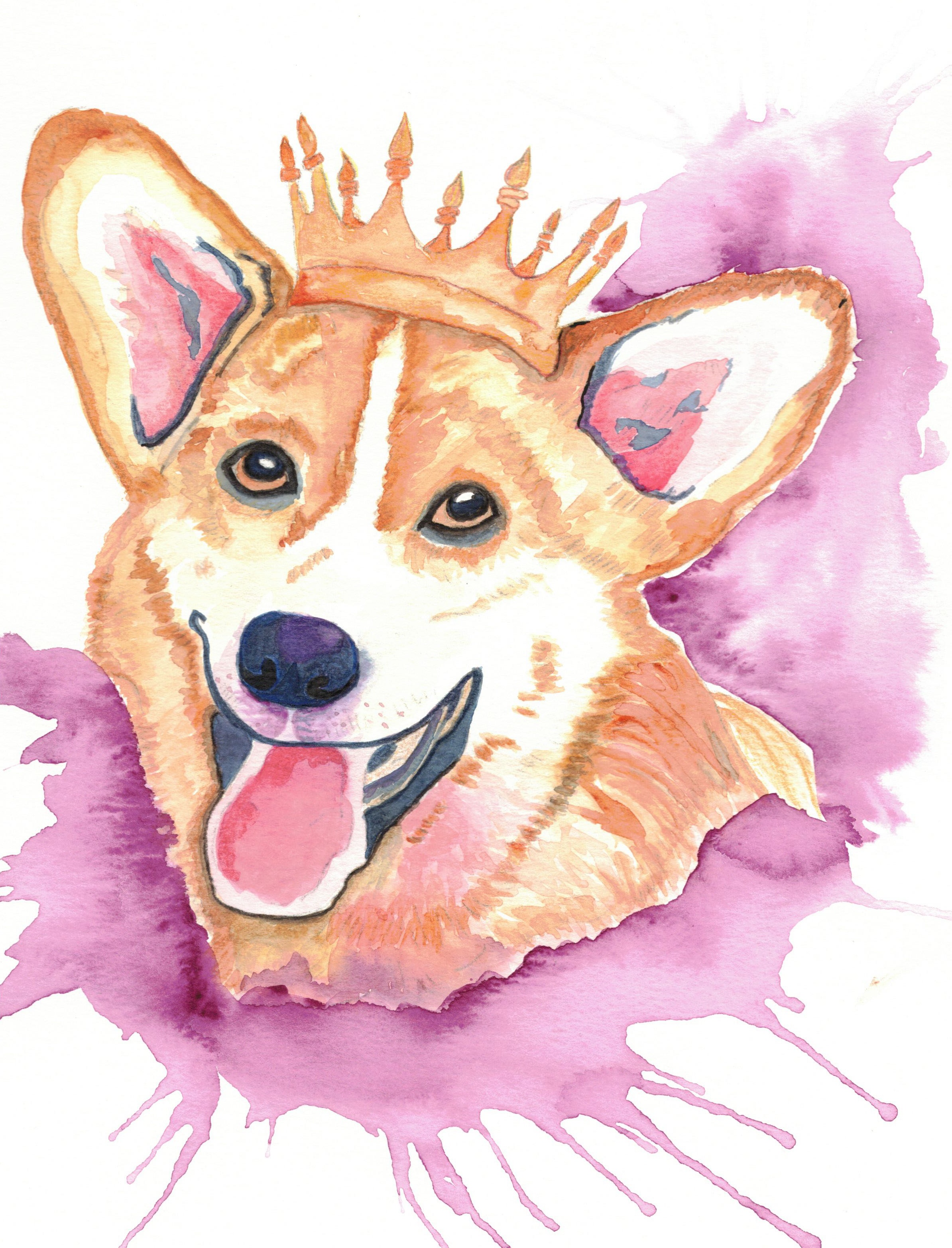 Illustration 3