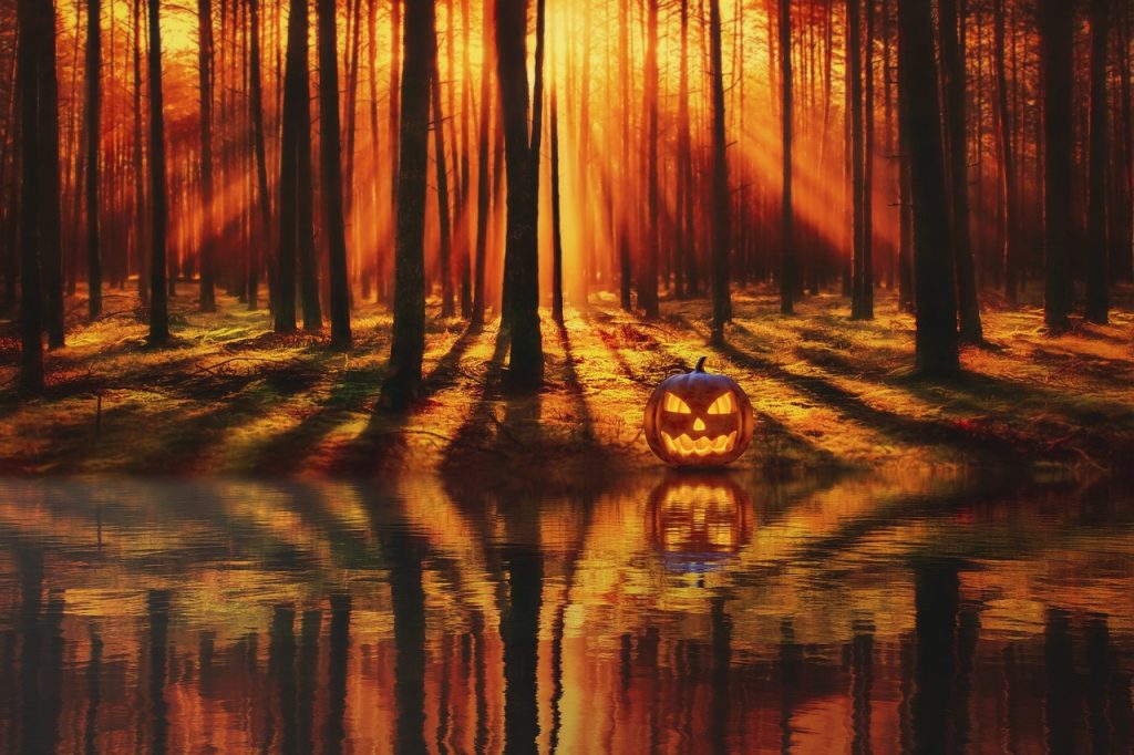 halloween, lake, forest-7462459.jpg
